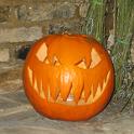 44 Hallowe'en - October 2005